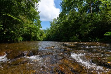 Abrams creek