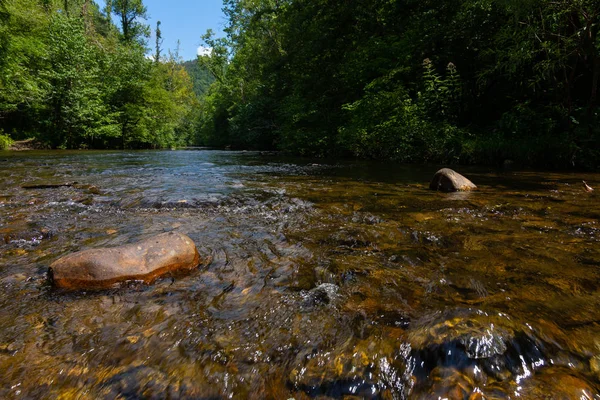 Abrams creek — Stok fotoğraf