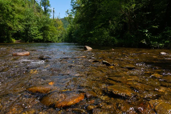 Abrams creek — Stockfoto