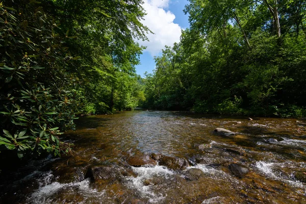 Abrams creek — Stockfoto