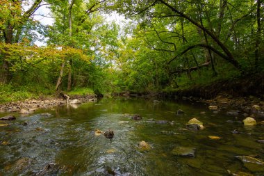 Şelale Glen ile Stream