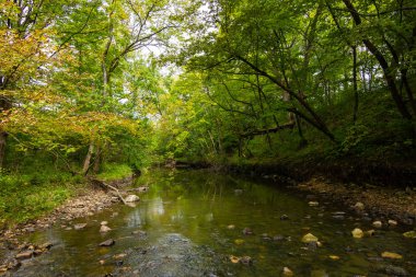 Şelale Glen ile Stream