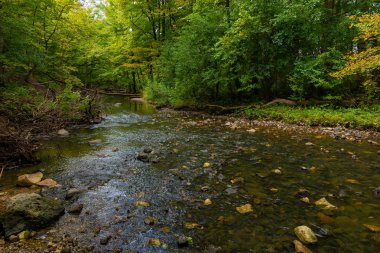 Şelale Glen ile Stream