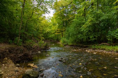 Şelale Glen ile Stream