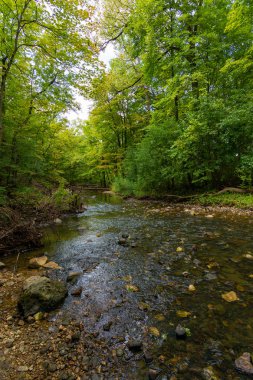Şelale Glen ile Stream