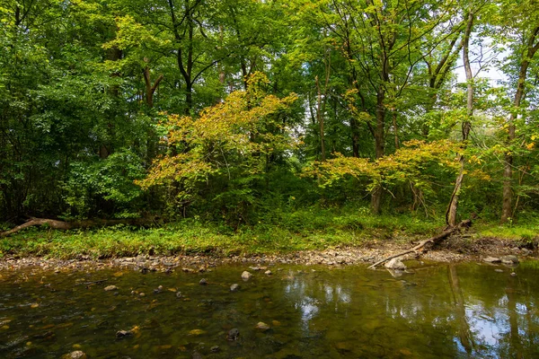 Потік через водоспад Глен — стокове фото