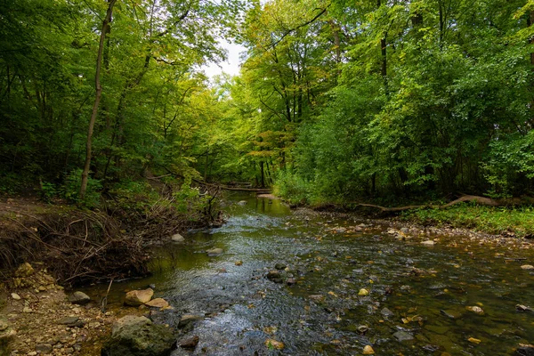 Şelale Glen ile Stream
