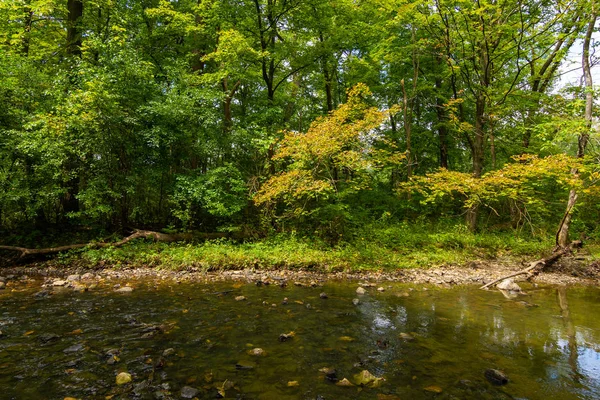 Şelale Glen ile Stream