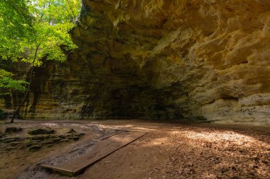 Konsey Çıkıntısı