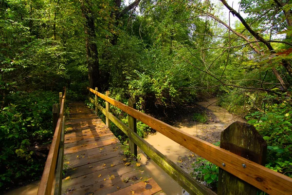 Passerelle en bois — Photo