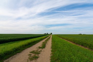 Ortabatı'da toprak yol