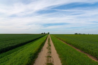Ortabatı'da toprak yol