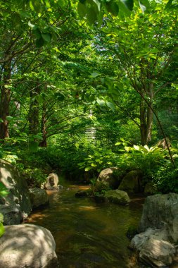 Japon bahçesinden akan küçük bir dere..
