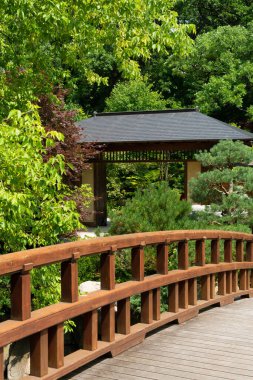 Güzel bir yaz sabahı Japon bahçesinde tahta köprü..