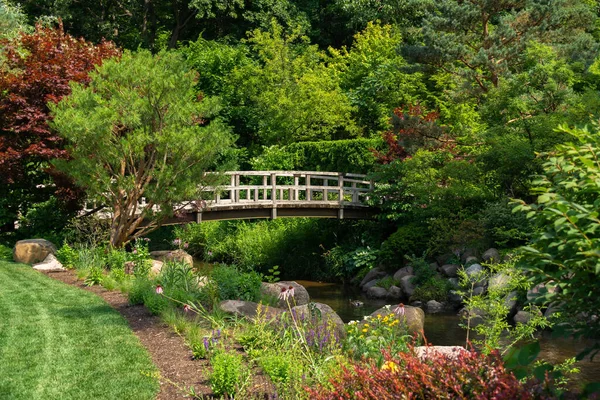 美しい夏の朝の日本庭園の木製の橋 — ストック写真