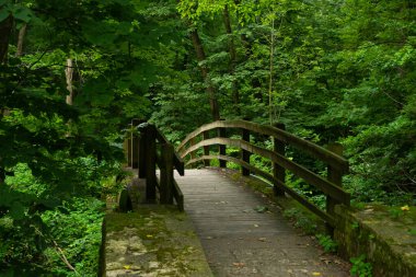 Bulutlu bir yaz sabahı parktaki tahta köprü. Mississippi Palisades Eyalet Parkı, Illinois, ABD