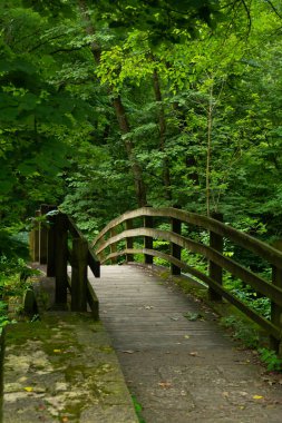 Bulutlu bir yaz sabahı parktaki tahta köprü. Mississippi Palisades Eyalet Parkı, Illinois, ABD