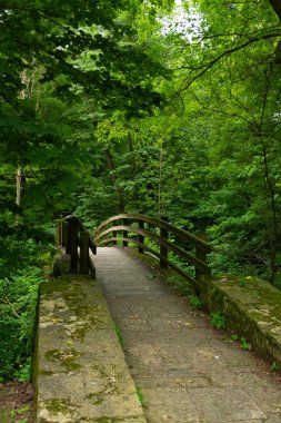 Bulutlu bir yaz sabahı parktaki tahta köprü. Mississippi Palisades Eyalet Parkı, Illinois, ABD