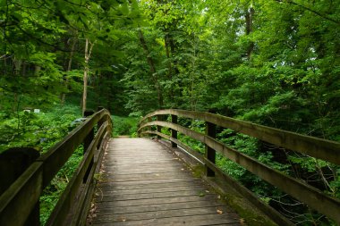 Bulutlu bir yaz sabahı parktaki tahta köprü. Mississippi Palisades Eyalet Parkı, Illinois, ABD