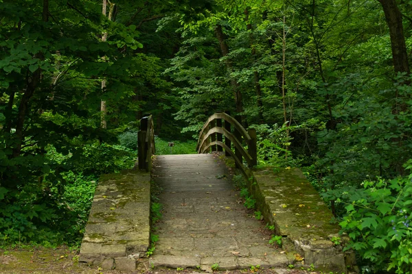 Pont Bois Dans Parc Par Une Matinée Nuageuse Été Mississippi — Photo