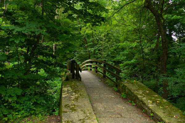 Wooden bridge in the park on a cloudy Summer morning.  Mississippi Palisades State Park, Illinois, USA