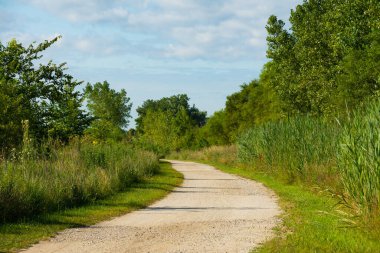 Güzel bir yaz sabahı Romeoville ve Lockport arasındaki I & M Kanalı boyunca ilerleyin. I & M Kanalı, Illinois, ABD
