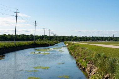 Güzel bir yaz sabahında I & M Kanalı 'na bakıyorum. Lockport, Illinois, ABD