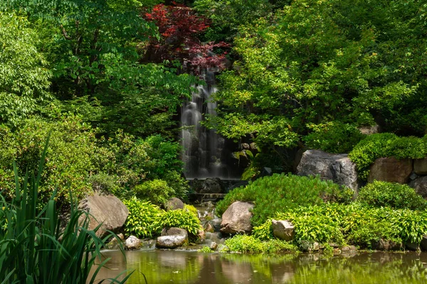 Cascade Dans Jardin Japonais Par Une Belle Matinée Été — Photo