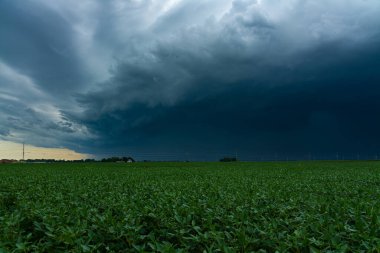 Orta batıdaki küçük bir kasabaya varmadan hemen önce Derecho 'ya geliyor. 10 Ağustos 2020. Peru, Illinois, ABD