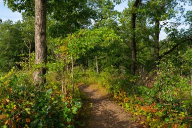 Güzel bir eylül sabahı, Dunes Ridge Patikası boyunca manzara. Indiana Dunes Ulusal Parkı, Indiana, ABD