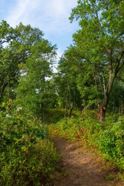 Güzel bir eylül sabahı, Dunes Ridge Patikası boyunca manzara. Indiana Dunes Ulusal Parkı, Indiana, ABD