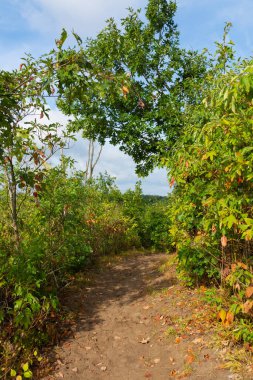 Güzel bir eylül sabahı, Dunes Ridge Patikası boyunca manzara. Indiana Dunes Ulusal Parkı, Indiana, ABD