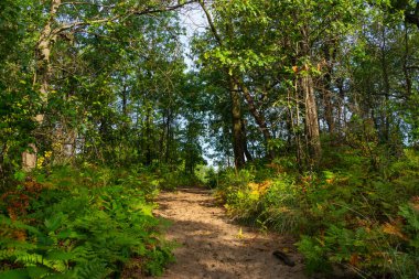Güzel bir eylül sabahı, Dunes Ridge Patikası boyunca manzara. Indiana Dunes Ulusal Parkı, Indiana, ABD
