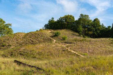 Güzel bir eylül sabahı, Dunes Ridge Patikası boyunca manzara. Indiana Dunes Ulusal Parkı, Indiana, ABD