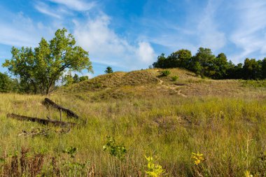 Güzel bir eylül sabahı, Dunes Ridge Patikası boyunca manzara. Indiana Dunes Ulusal Parkı, Indiana, ABD