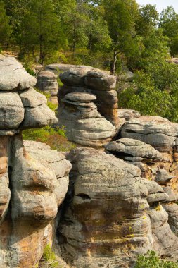 Öğleden sonra ışığında Tanrıların Bahçesi 'nde kaya oluşumları. Shawnee Ulusal Ormanı, Illinois, ABD
