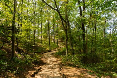 Tanrıların Bahçesi 'ne giden yürüyüş yolu. Shawnee Ulusal Ormanı, Illinois, ABD