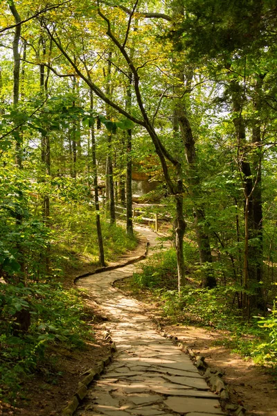 Пішохідна Стежка Веде Саду Богів Звертає Уваги Національний Ліс Шоні — стокове фото