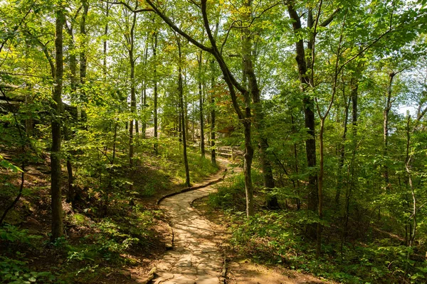 Sendero Que Conduce Jardín Los Dioses Con Vistas Shawnee National — Foto de Stock