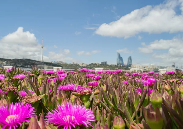 Gökdelenler ünlü ve güzel gece görünümü. Baku City Uluslararası iş merkezi. Akşam alev kuleleri. Baku, Azerbaycan