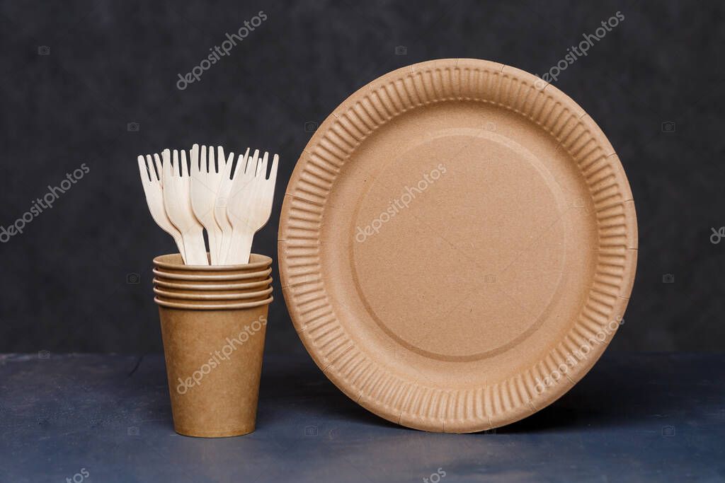 Platos de cartón desechables hechos de materiales respetuosos con el ...