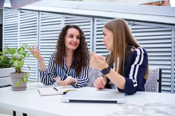 Two serious businesswomen girls discussing a business project, working together in the office, serious female consultant and client talking at a meeting, focused executive colleagues share ideas