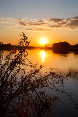 Gölde gün batımı, ağaçların arkasında güneş batışı ve suda güzel yansımalar.
