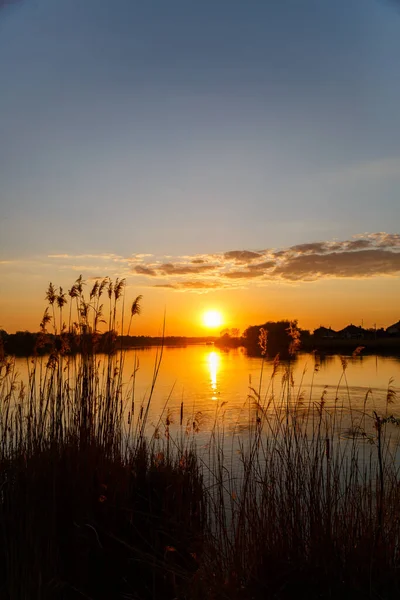 湖に沈む夕日 木々の後ろに沈む太陽と水の中の美しい反射 — ストック写真