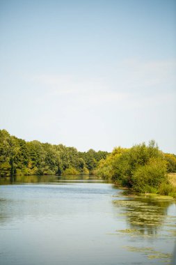 Güneşli bir günde güzel bir doğa.