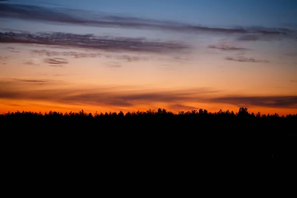 Prachtige Natuur Een Zonnige Dag — Stockfoto