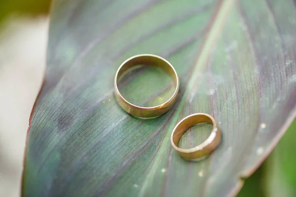 Fedi Nuziali Oro Gli Sposi Giorno Del Matrimonio — Foto Stock