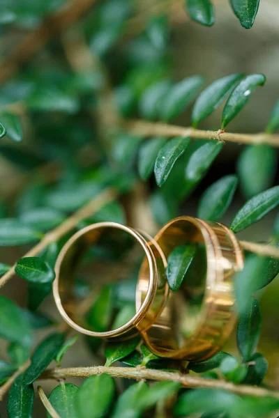 Gold Wedding Rings Newlyweds Wedding Day — Stock Photo, Image