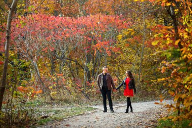 Sonbahar ormanlarında güzel bir çift