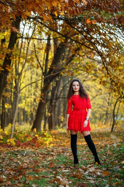 Kıvırcık saçlı kız sonbahar ormanında kırmızı elbiseli.